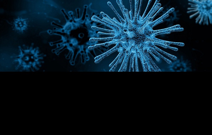 Takto vypadá koronavirus