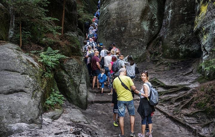 Tomáš Vocelka (Reportáž) 