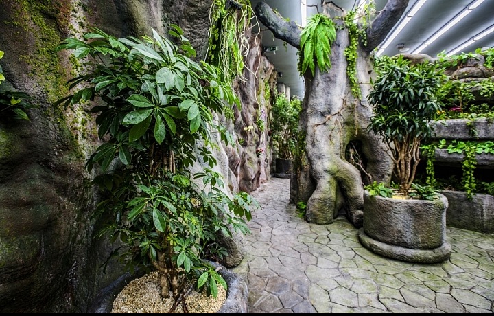 Nádherné prostředí Papilonia