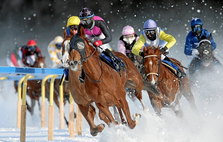 St. Moritz zimní dostihy