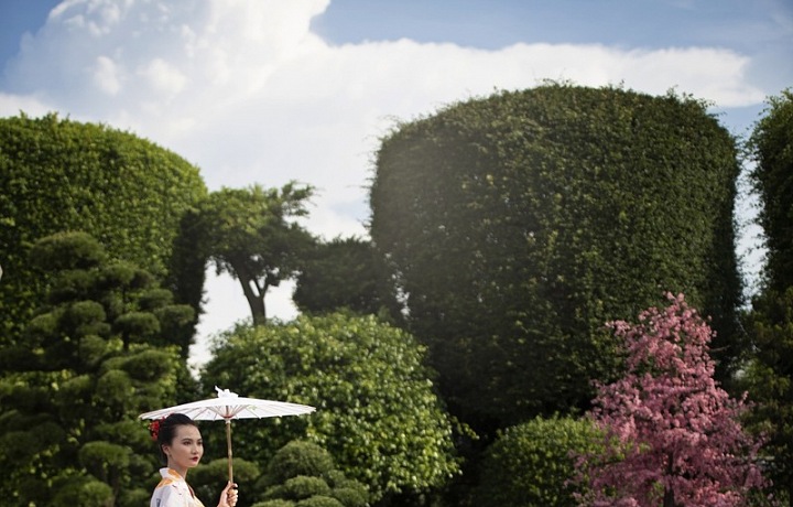 Japonci milují přírodu, a proto si ji ochotně „přenesou“ i do měst. Nejlepším příkladem je japonské zahradnictví