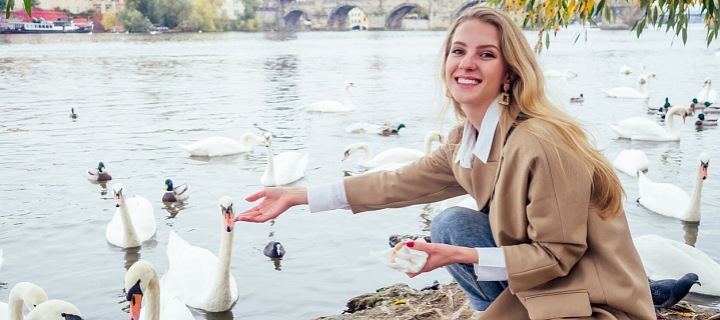 Krmení labutí zůstává oblíbenou zábavou na obou vltavských březích