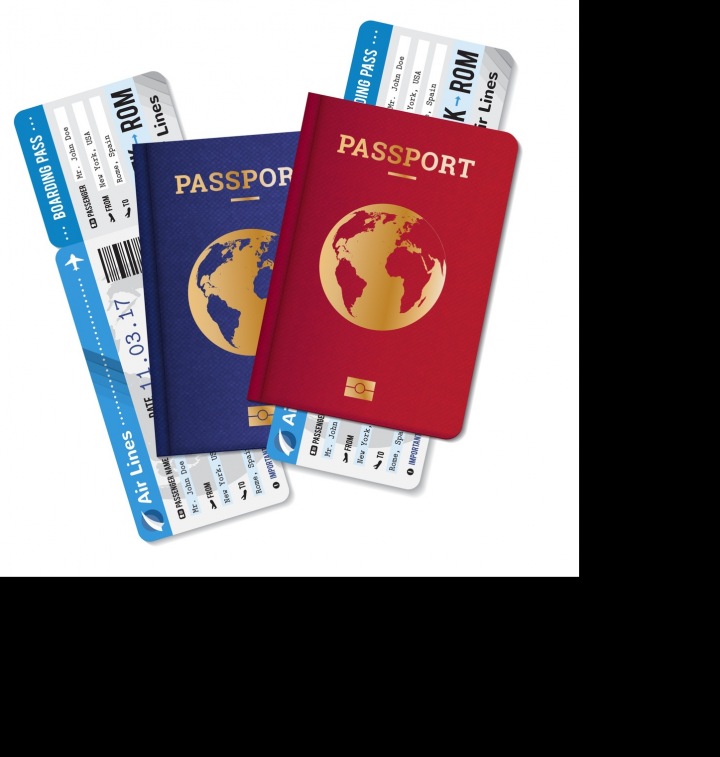 Pas a letenka jako nezbytná nutnost