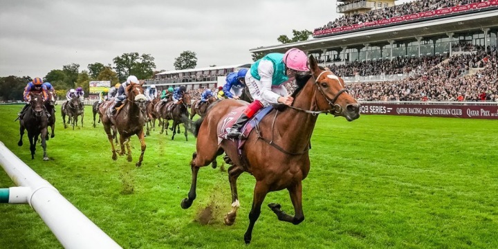Koňské dostihy QATAR PRIX DE L Koňské dostihy QATAR PRIX DE L