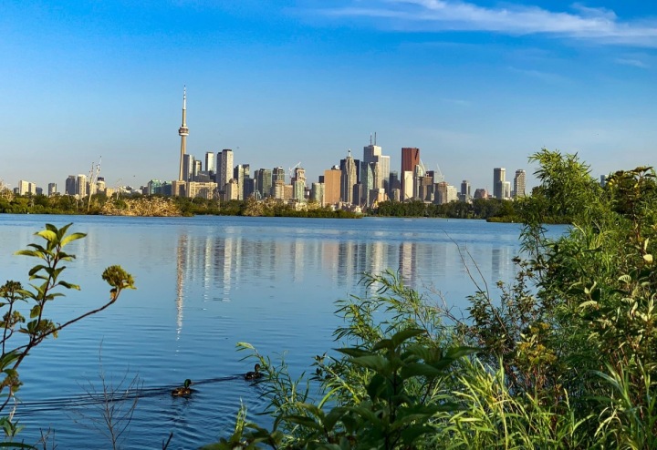 Bude Toronto novým domovem královského páru? Bude Toronto novým domovem královského páru?