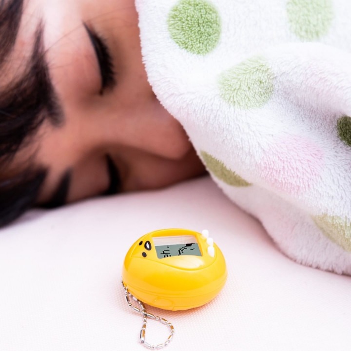 S Tamagotchim děti usínaly i vstávaly. S Tamagotchim děti usínaly i vstávaly.