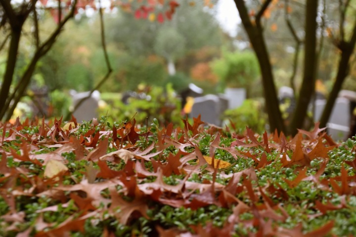 Hřbitov zapadaný podzimním listím