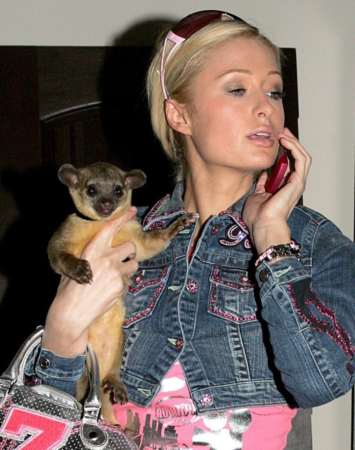 Paris Hilton a její kynkažu jménem Baby Luv