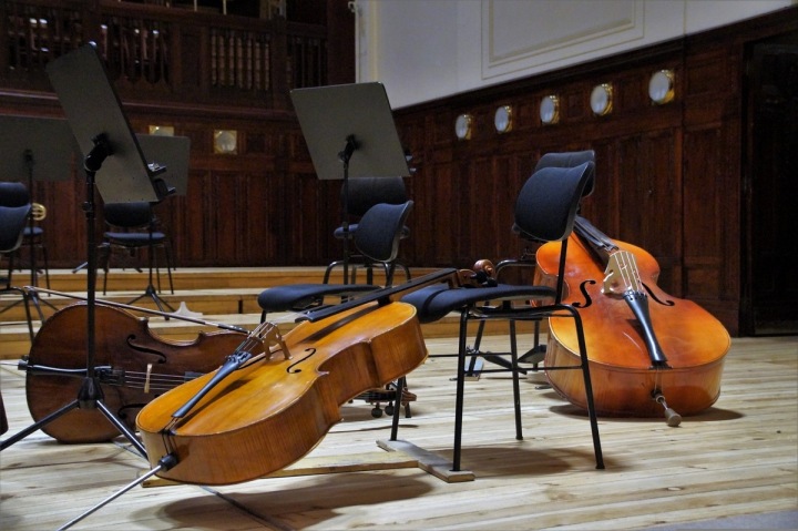 Češi mají opět filmové ambice, pomoci má k tomu film Il Boemo