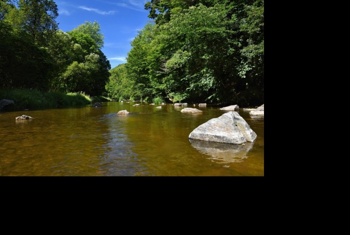 Na obrázku je řeka uprostřed přírody