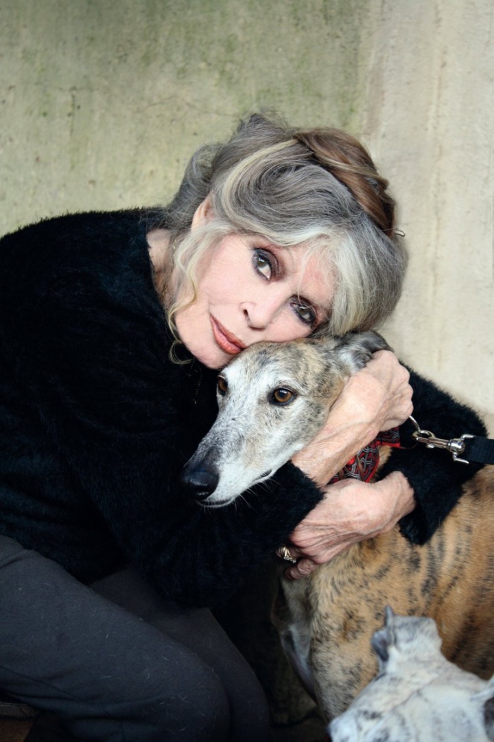 Brigitte Bardot objímající psa Brigitte Bardot objímající psa