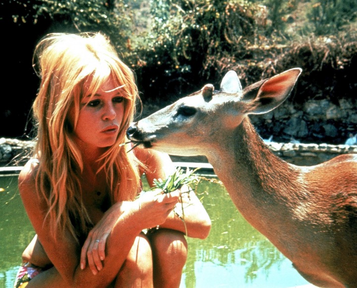 Brigitte Bardot se srnkou Brigitte Bardot se srnkou