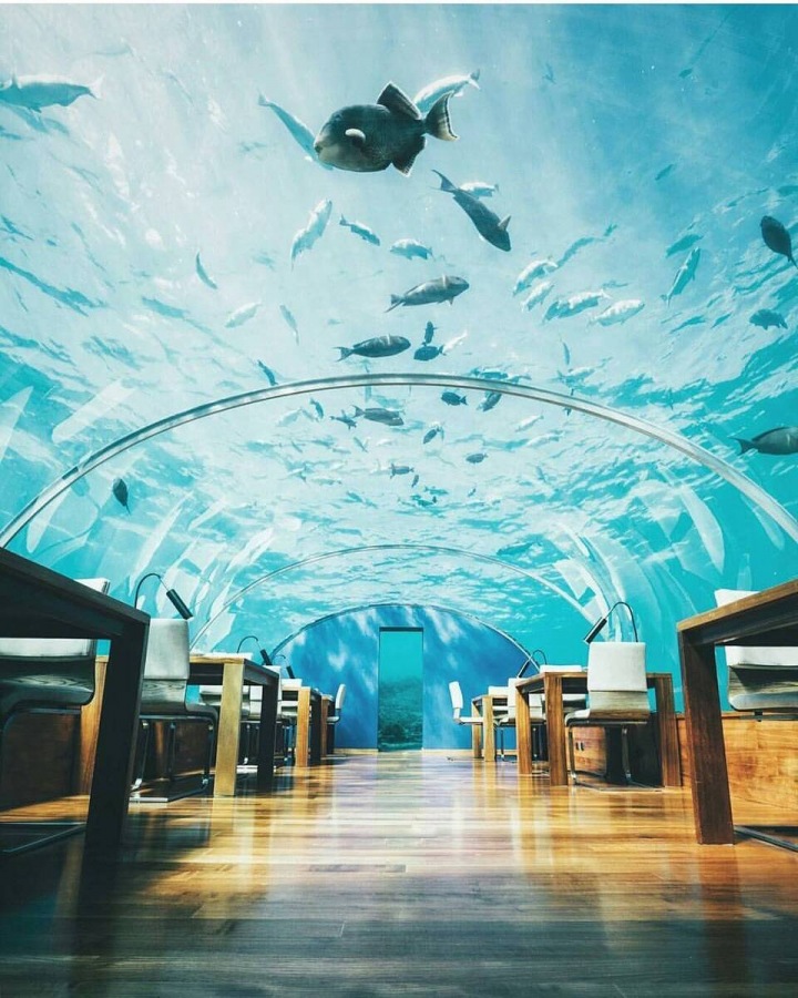 Conrad Hotels & Resorts. Conrad Hotels & Resorts.