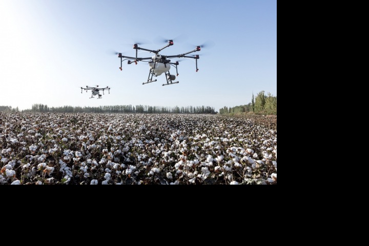 Dron nad bavlnou Dron nad bavlnou