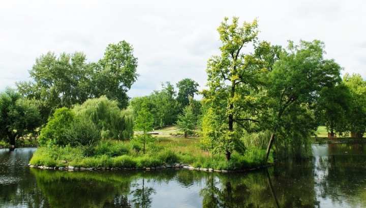 Park Stromovka Park Stromovka