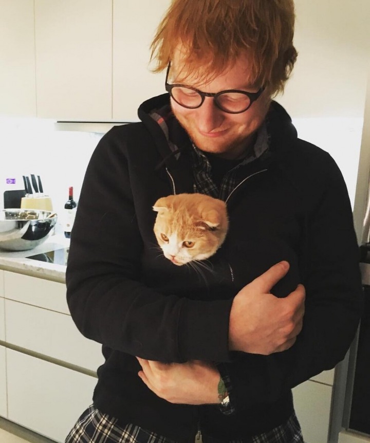 Edd Sheeran Edd Sheeran