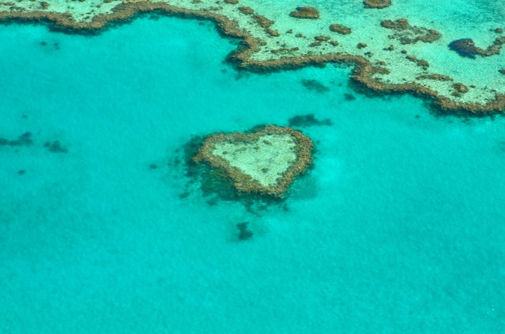 Korálový útes v Austrálii