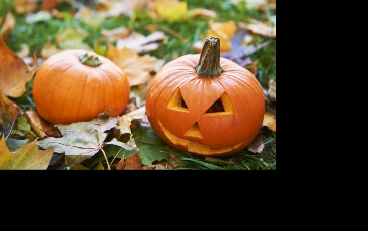 Dýňové šílenství