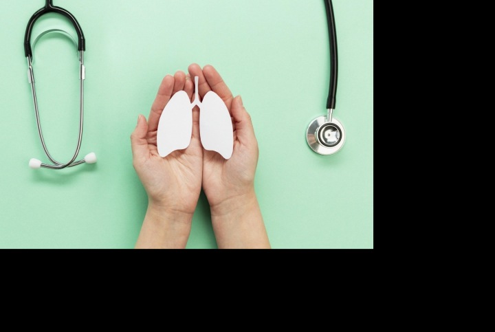 Zázrak jménem plíce