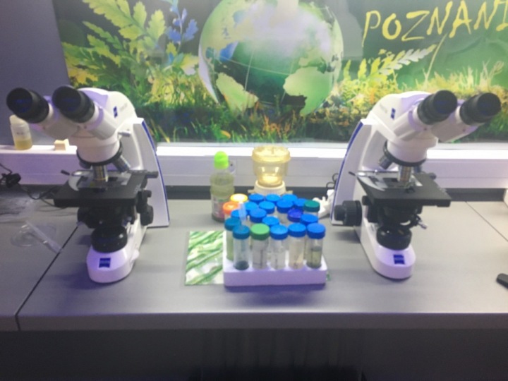 Pod mikroskopem poznáte jiný podvodní svět. Pod mikroskopem poznáte jiný podvodní svět.