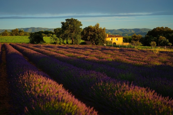Provence je místem, které si oblíbila i rodina Kennedyů