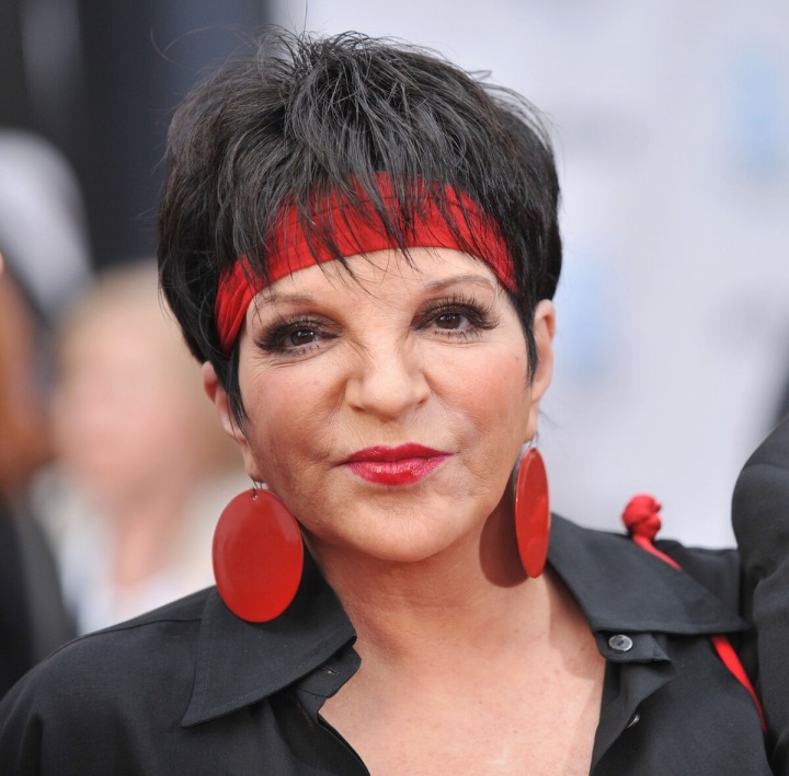 Liza Minnelli Liza Minnelli
