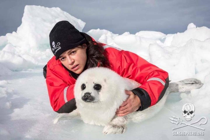 Michelle Rodrguez se přidala k organizaci Sea Shepherd. 