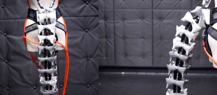 Robotický ocas může pomoci udržet lidem lepší balanc Robotický ocas může pomoci udržet lidem lepší balanc