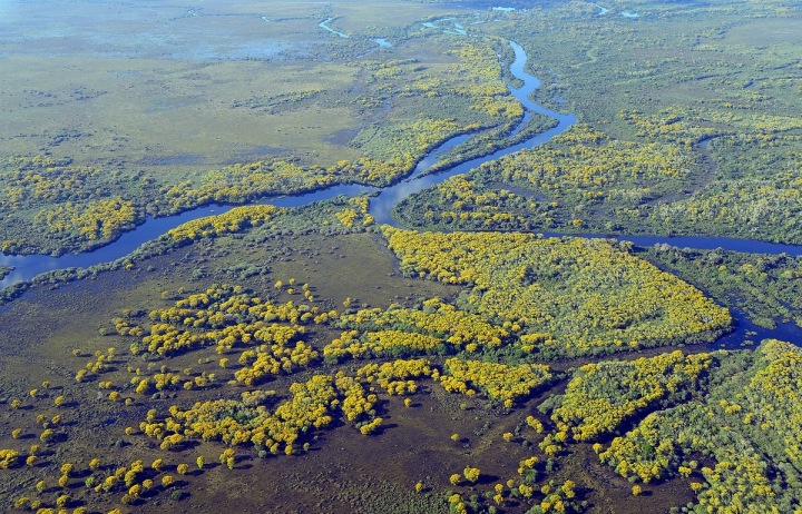 Pantanal, Brazílie