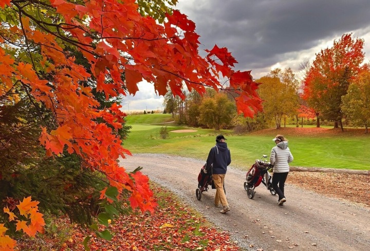 Pár hraje golf Pár hraje golf