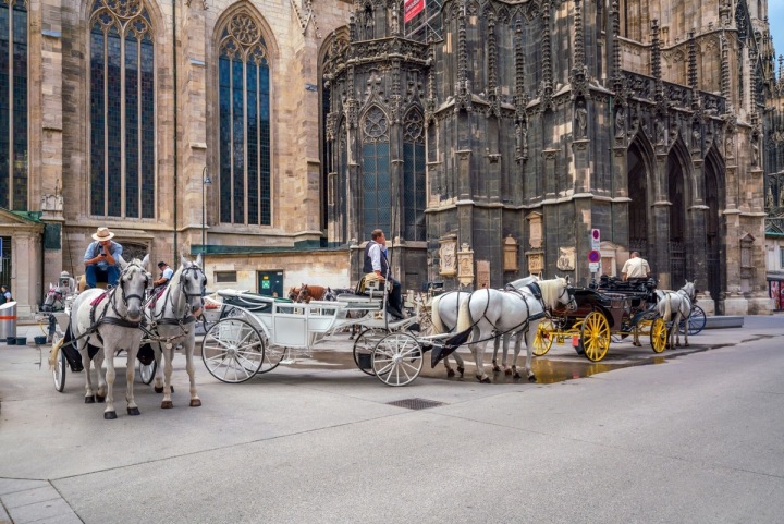 Turistický fiakr v centru Vídně. Turistický fiakr v centru Vídně.