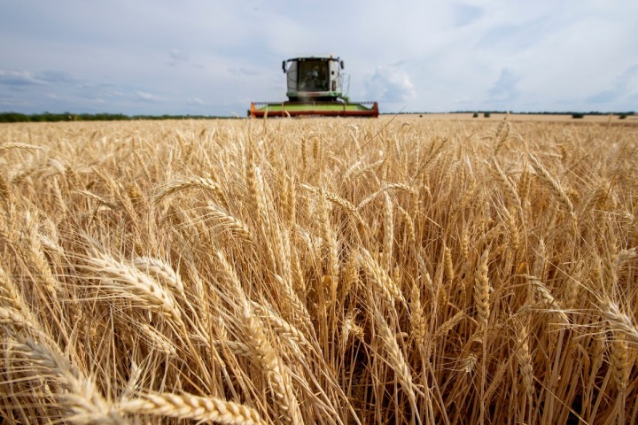 Tranzit obilí bude obnoven v pátek