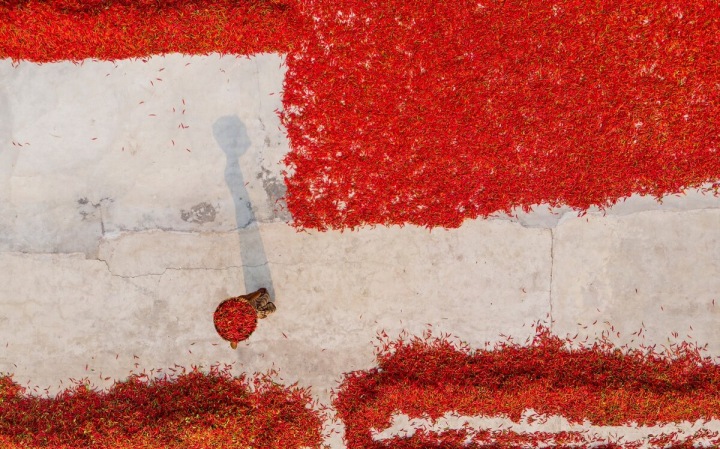 Fotografie pořídil Hasanur Rahman Maruf v Panchagarh v Bangladéši