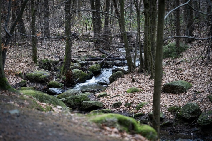 Rokytka je říčka v povodí dolní Vltavy. Protéká územím Středočeského kraje a Prahou v České republice