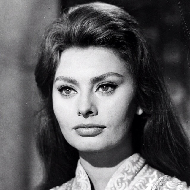 Sophia Loren na černobílém snímku Sophia Loren na černobílém snímku