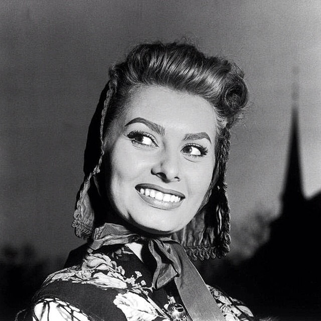 Sophia Loren na černobílém snímku Sophia Loren na černobílém snímku