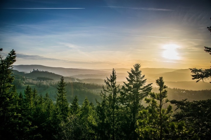Šumava, Lesy a mlha Šumava, Lesy a mlha