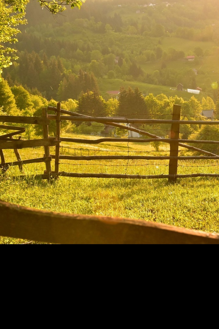 Příroda ožívá hlavně v létě