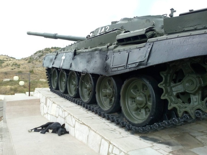 Tank a pes ležící vedle Tank a pes ležící vedle