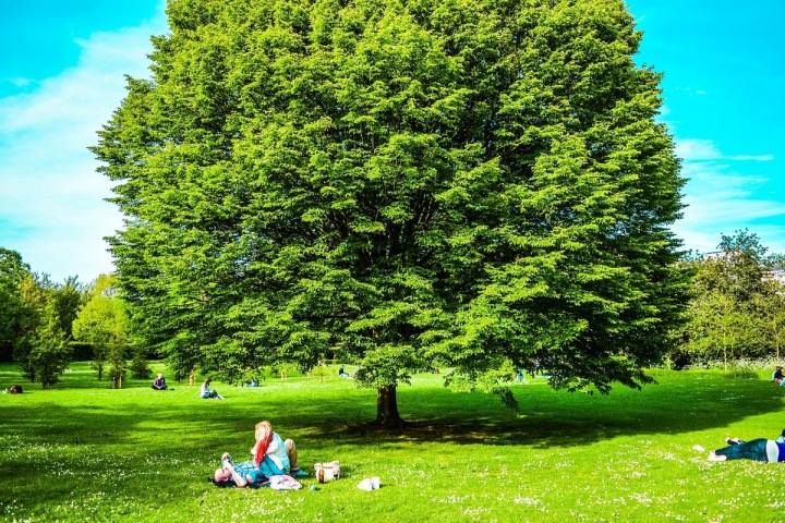 V londýnském parku se našla mrtvola muže