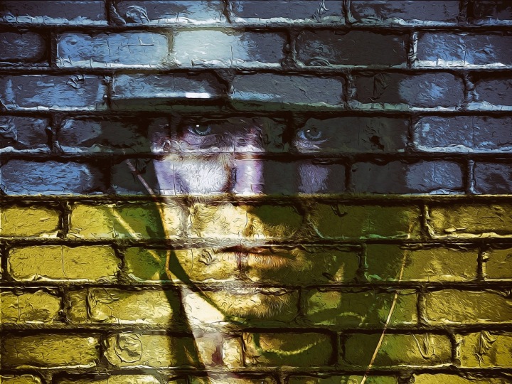 Ukrajina se již téměř rok brání ruské agresi