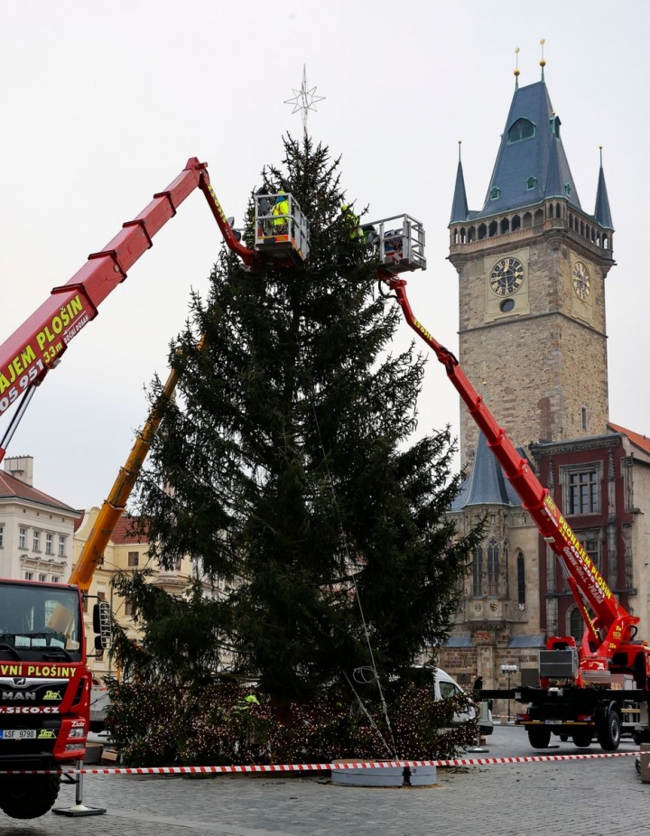 Letošní strom na Staroměstském náměstí v přípravách. Letošní strom na Staroměstském náměstí v přípravách.