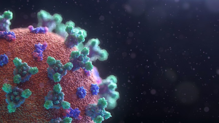 Coronavirus Coronavirus