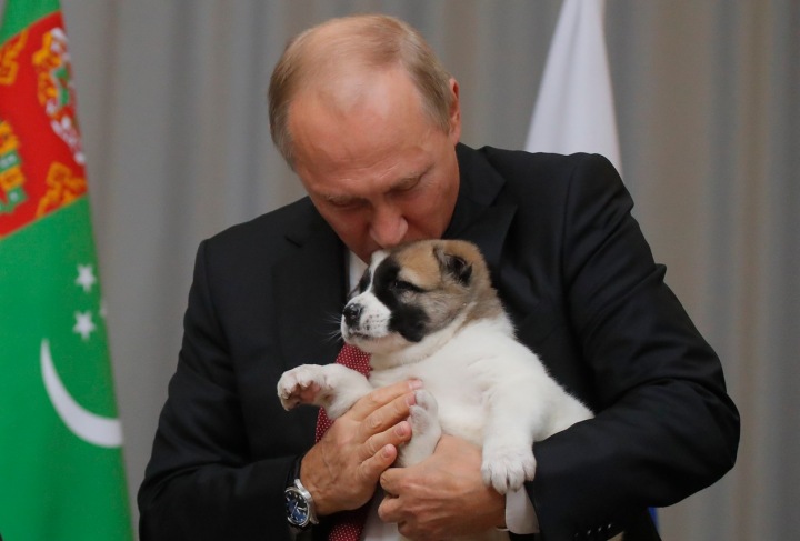 Vladimir Putin a turkmenský pastevecký pes