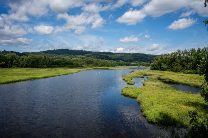 Šumavská příroda může být pro Emila požehnáním