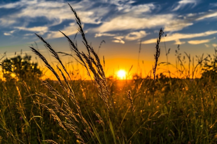 Meditace při západu slunce Meditace při západu slunce