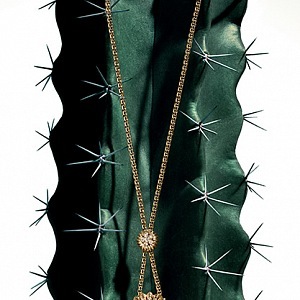 Cactus de Cartier a náhrdelník s modrým detailem