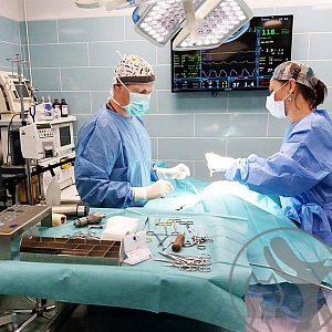 Veterinář během operace. 