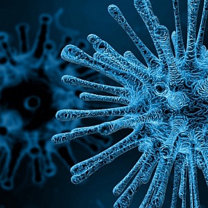 Takto vypadá koronavirus