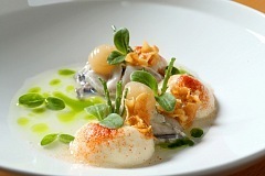 Czech modern cuisine